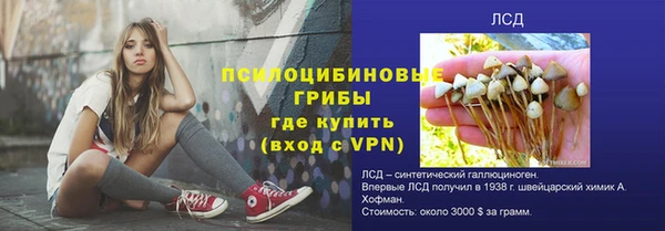 спайс Баксан